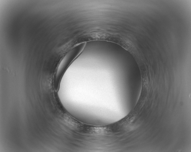 X0000059790233200511181456