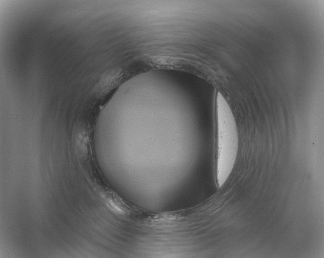X0000059790235200511181456