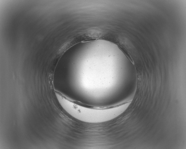 X0000059790237200511181456