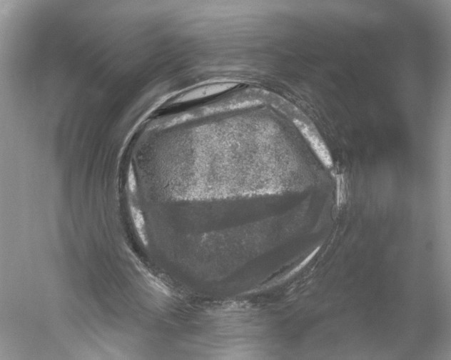X0000059790243200511181455
