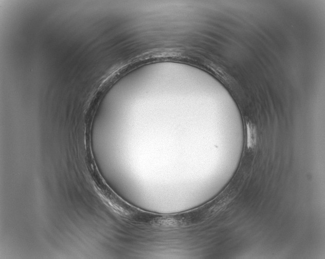 X0000059790253200511181456