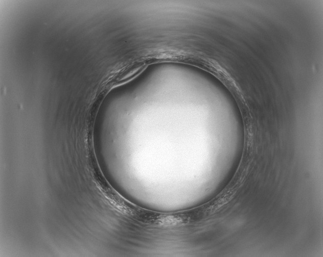 X0000059790257200511181456
