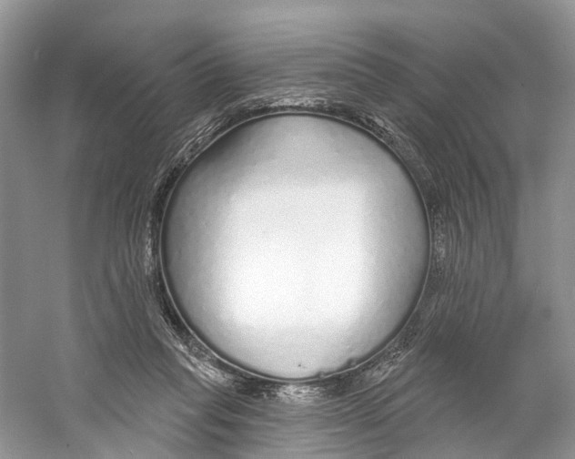 X0000059790261200511181456