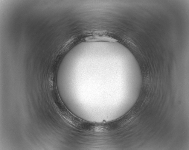 X0000059790264200511181456
