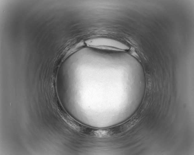 X0000059790265200511181456