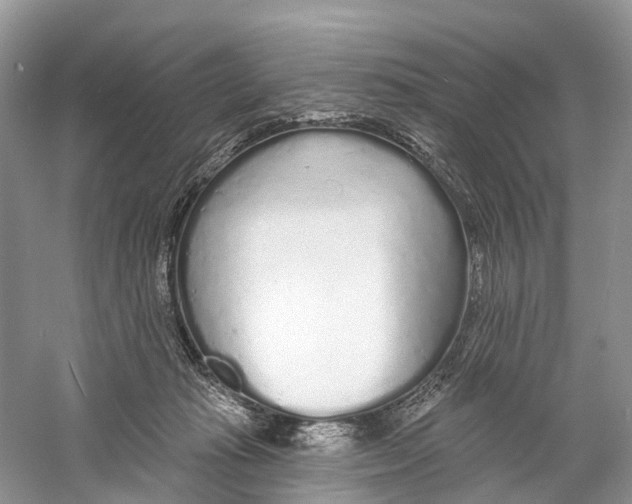 X0000059790269200511181456