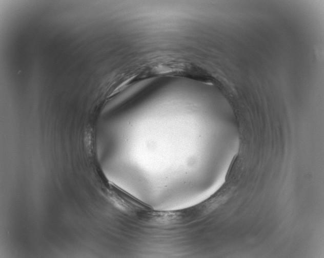 X0000059790288200511181456