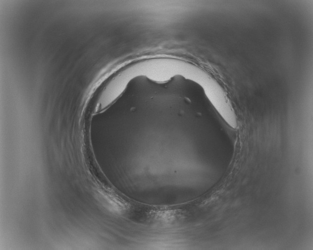 X0000059790295200511181455