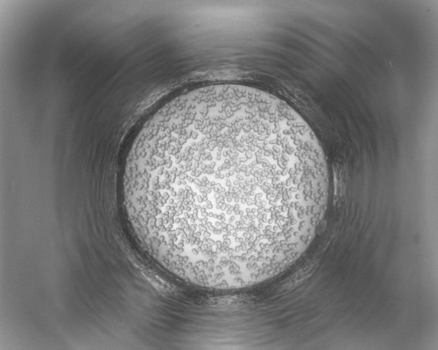 X0000059790301200511181455