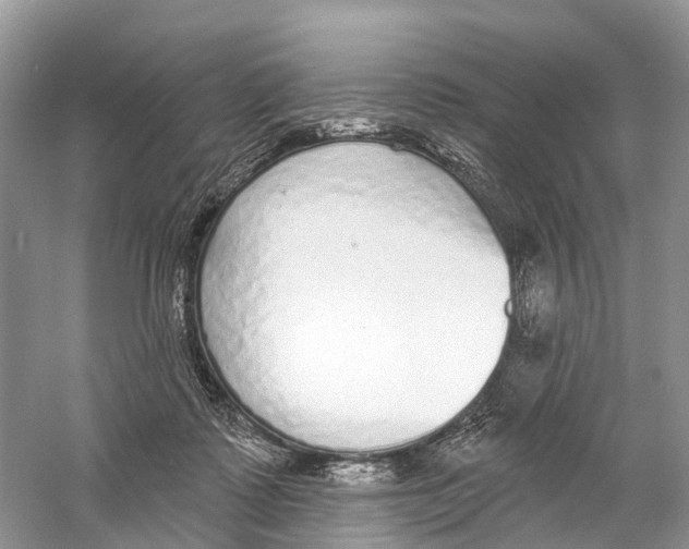 X0000059790315200511181455