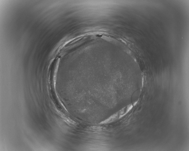 X0000059790339200511181454