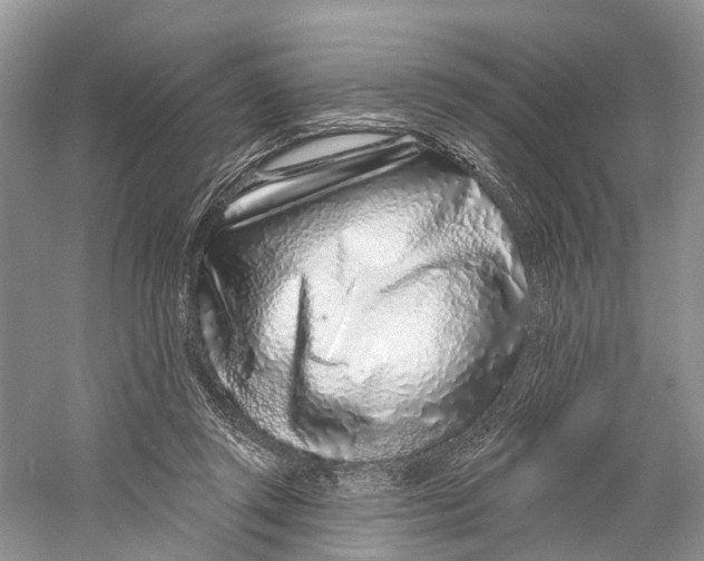 X0000059790357200511181454