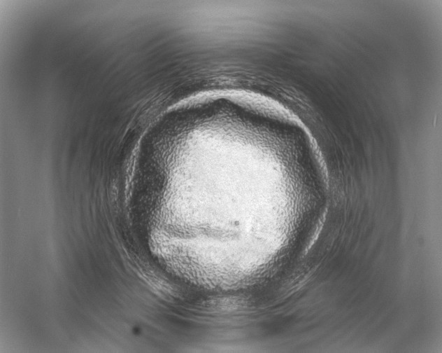 X0000059790365200511181454