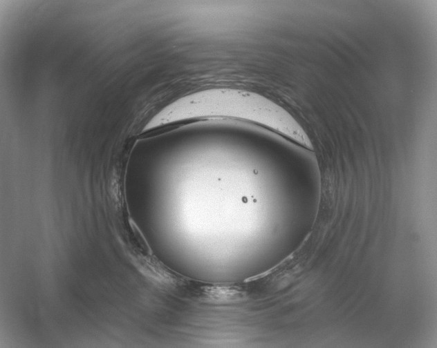 X0000059790380200511181454