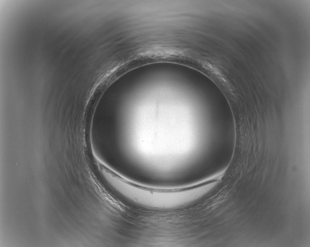 X0000059790399200511181453