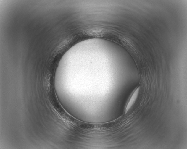 X0000059790404200511181453