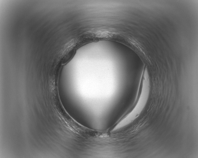X0000059790407200511181453