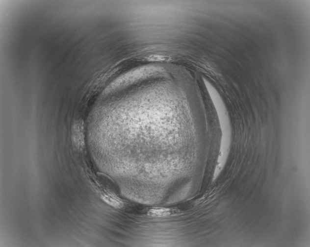 X0000059790413200511181453