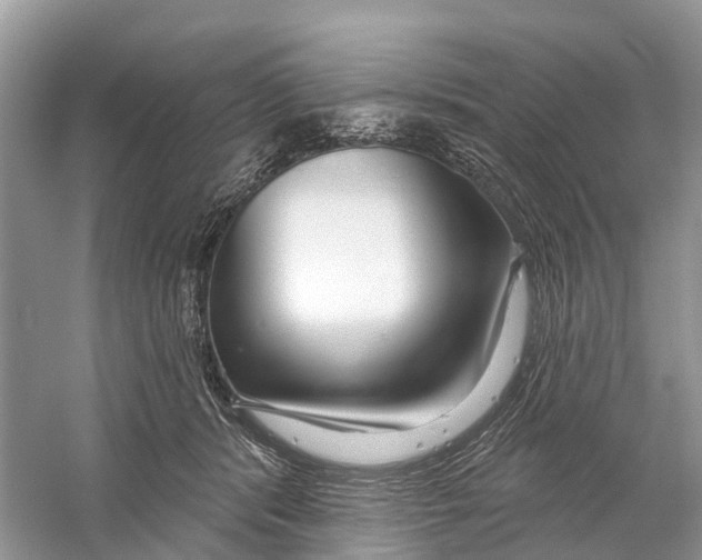 X0000059790416200511181453