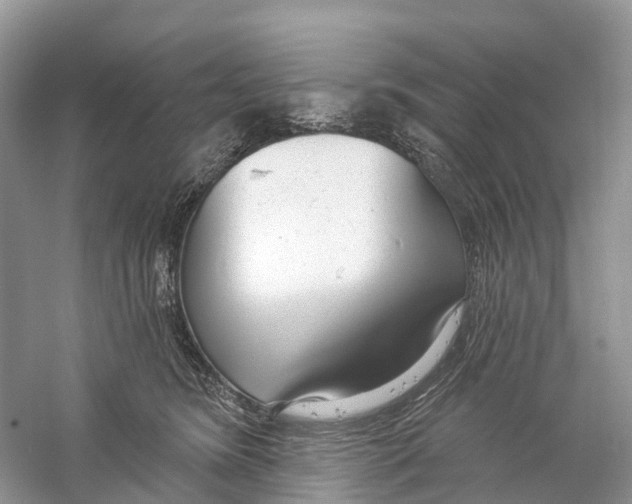 X0000059790420200511181453