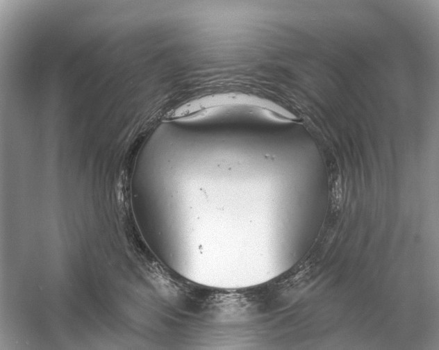 X0000059790424200511181453