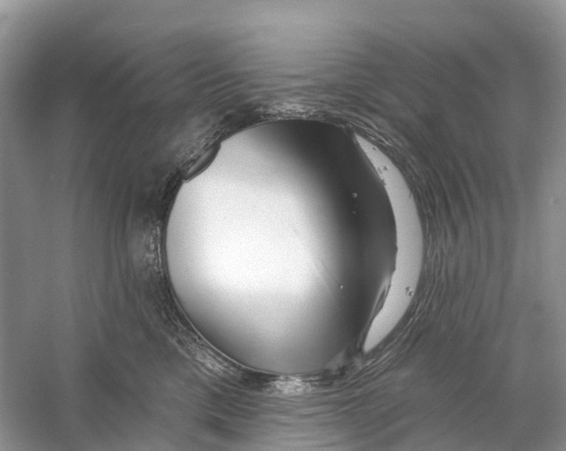 X0000059790425200511181453