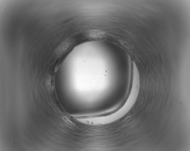 X0000059790428200511181453