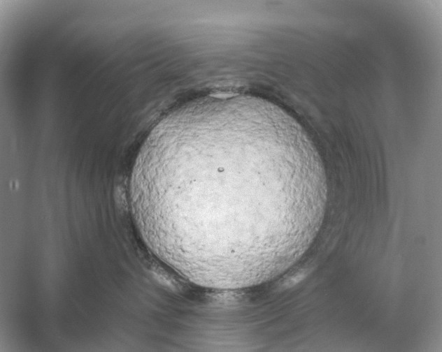 X0000059790432200511181453