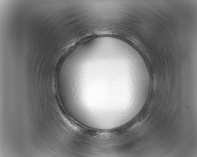 X0000059790441200511181452