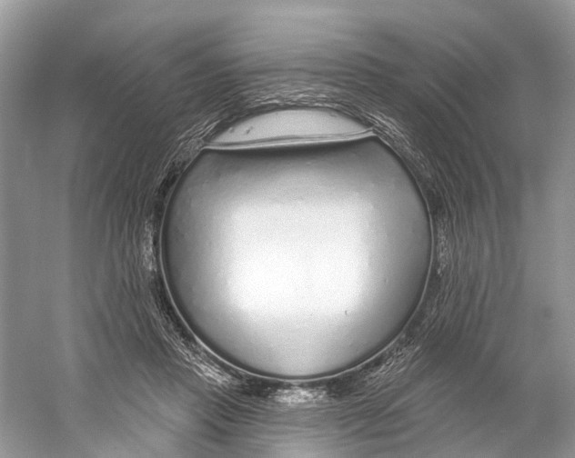 X0000059790453200511181452