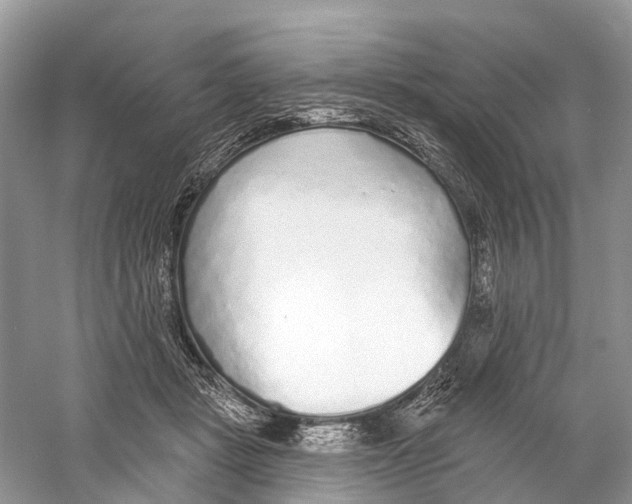 X0000059790461200511181453