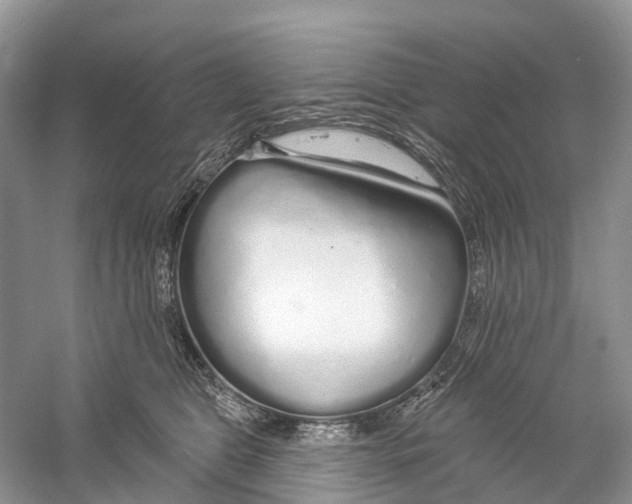 X0000059790469200511181453