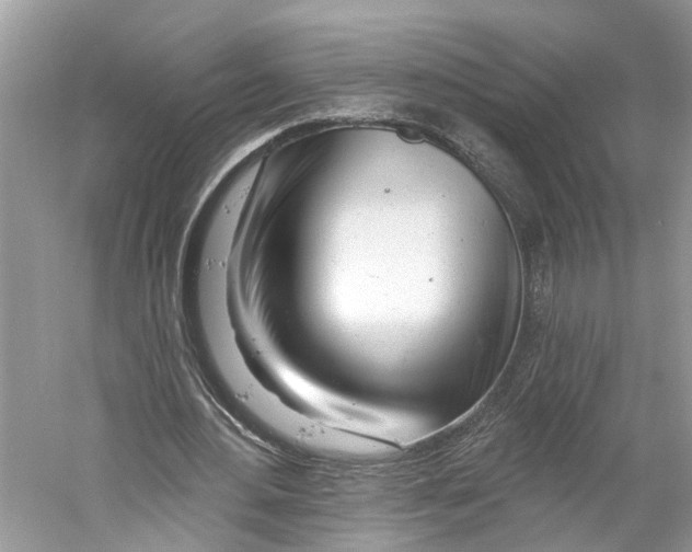 X0000059790484200511181452