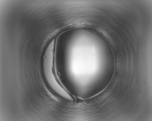 X0000059790493200511181452