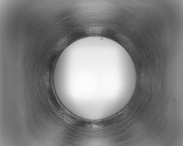X0000059790498200511181452