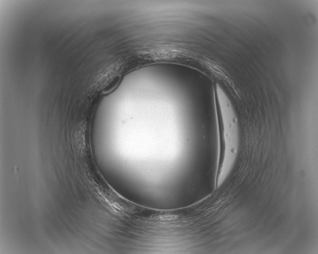 X0000059790501200511181452