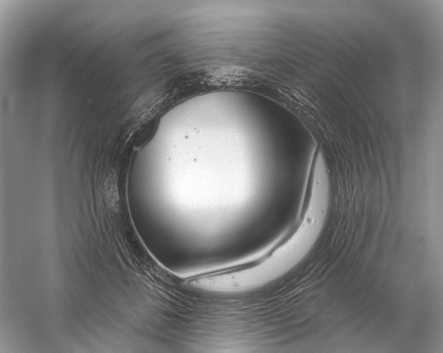 X0000059790508200511181452