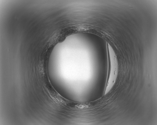 X0000059790512200511181452