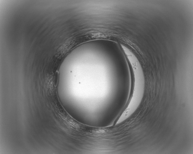 X0000059790513200511181452