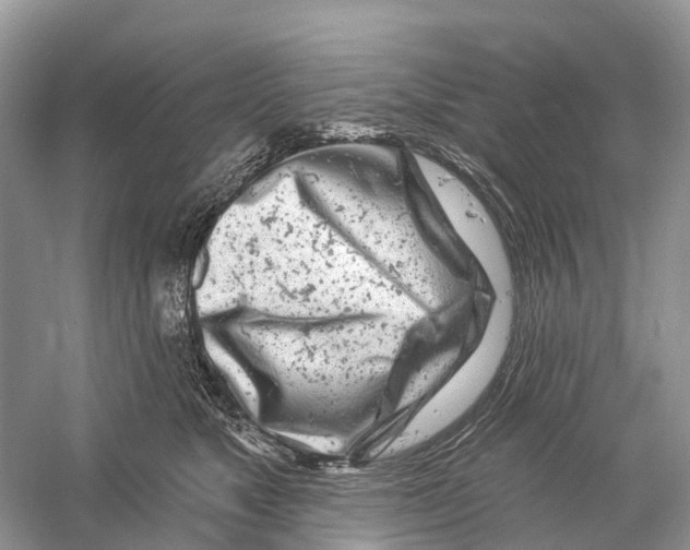 X0000059790517200511181451