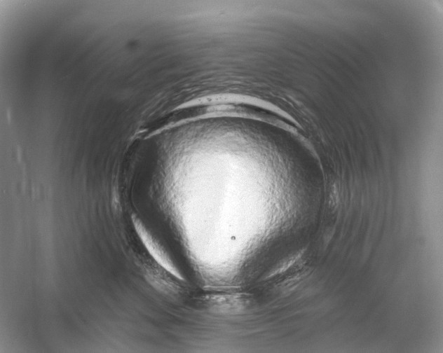 X0000059790524200511181451
