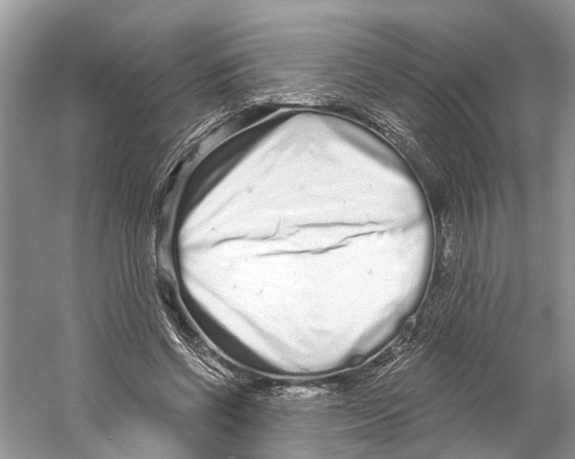 X0000059790542200511181451