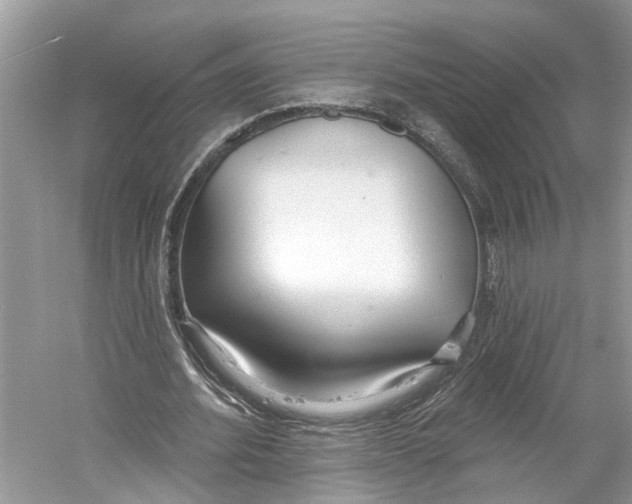 X0000059790580200511181450