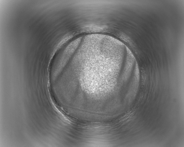 X0000059790582200511181450