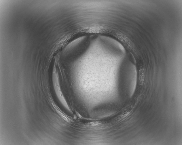 X0000059790589200511181450