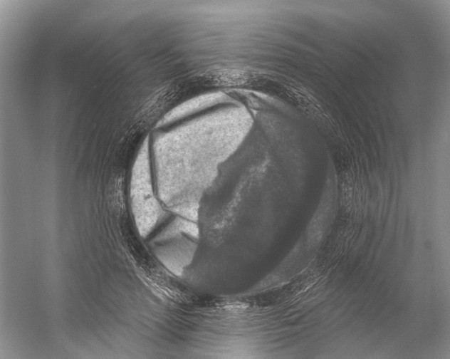 X0000059790598200511181450