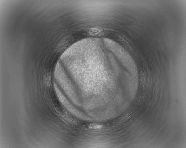 X0000059790602200511181450
