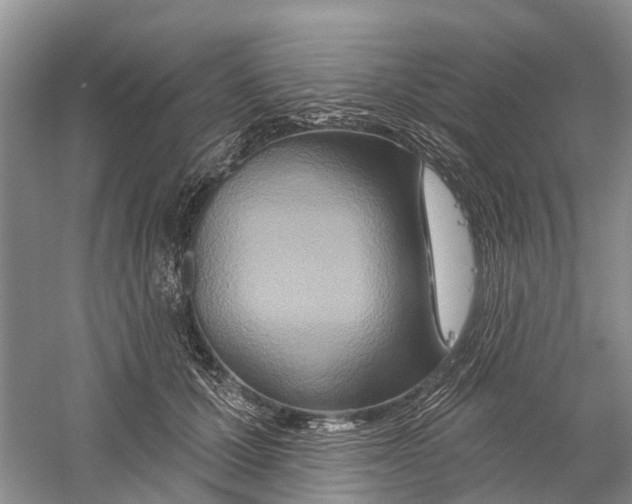 X0000059790607200511181450