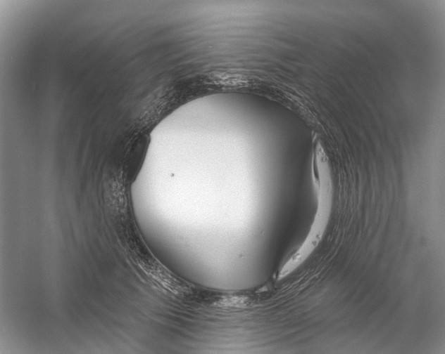 X0000059790609200511181450