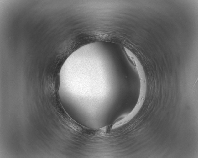 X0000059790613200511181450